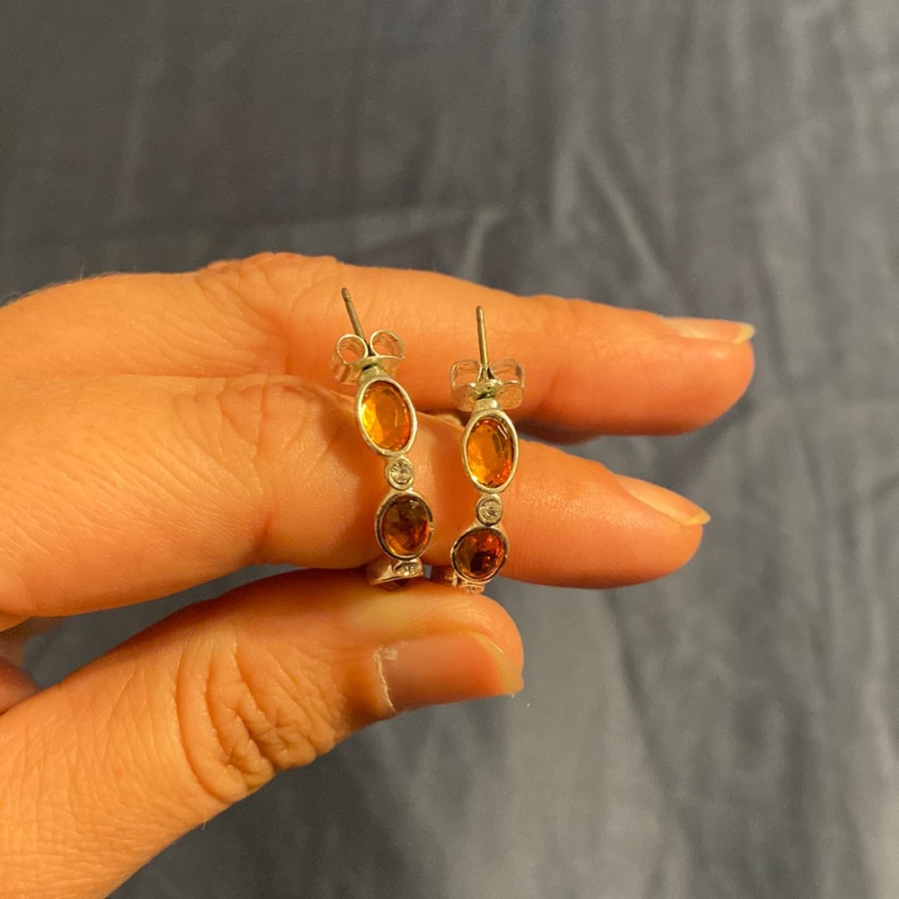Hoop Earrings